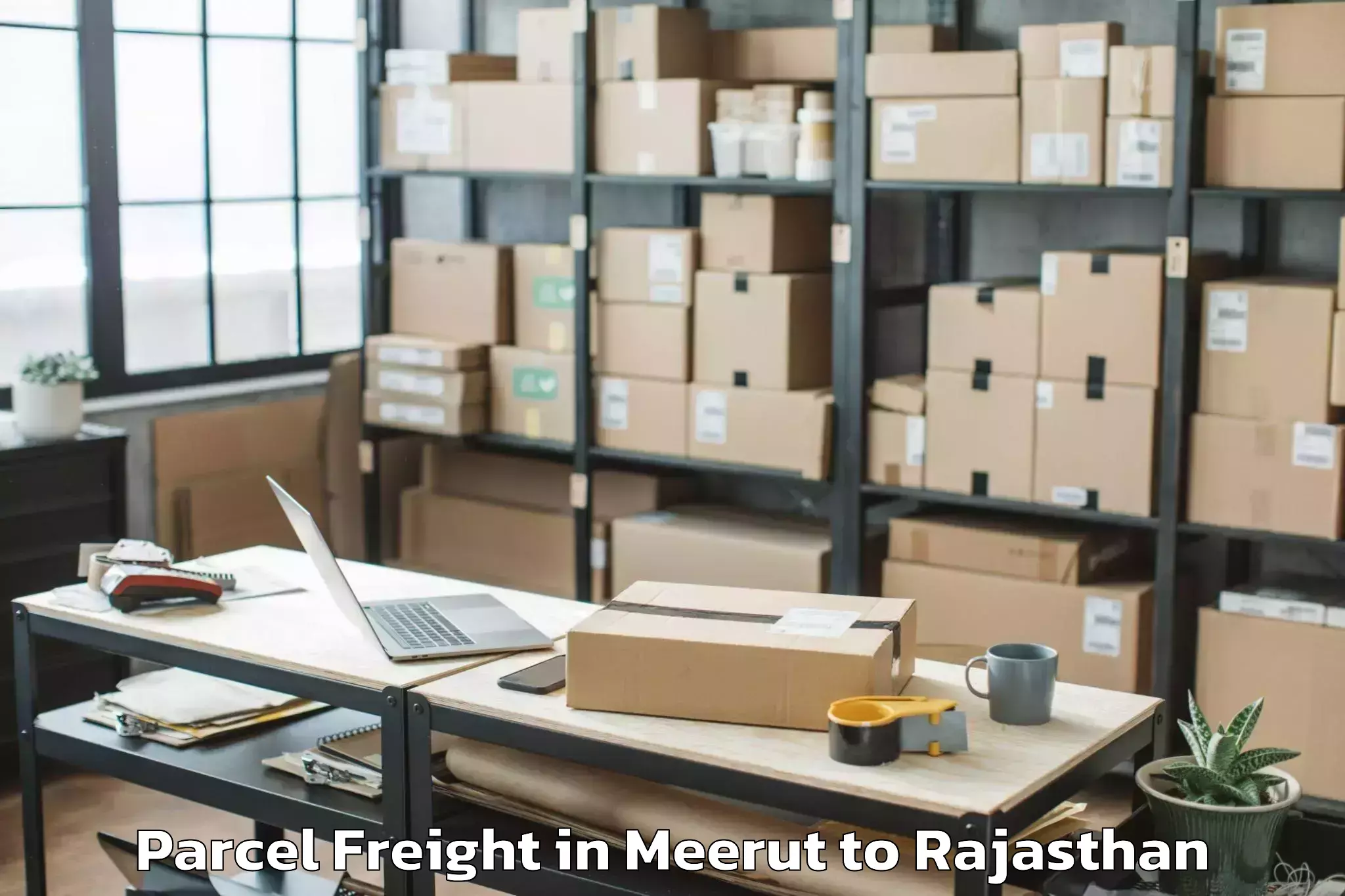 Expert Meerut to Jaipur National University Jai Parcel Freight